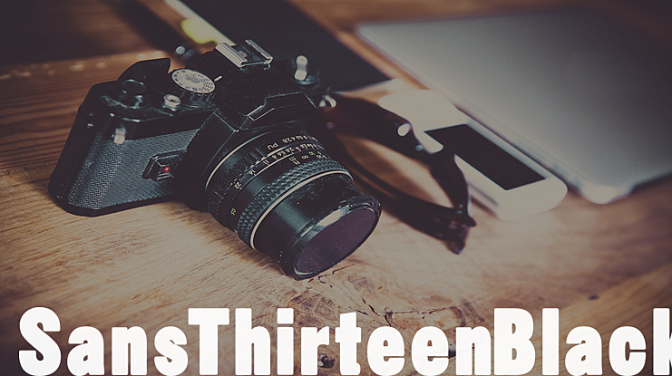 Sans Thirteen Black Font