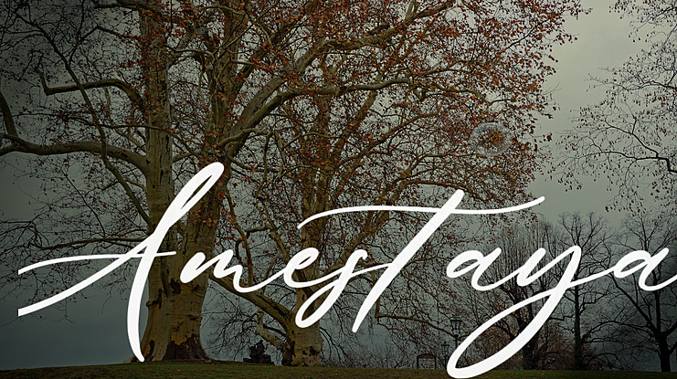 Amestaya Font