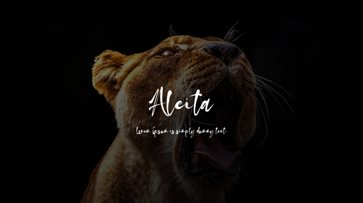Aleita Font