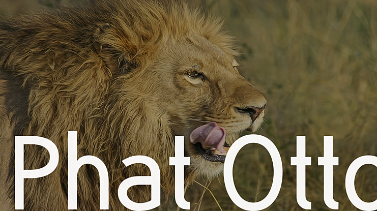 Phat Otto Font
