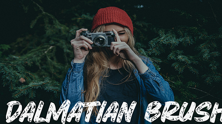 Dalmatian Brush Font