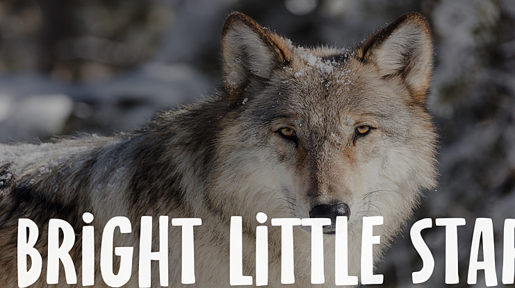 bright little star Font