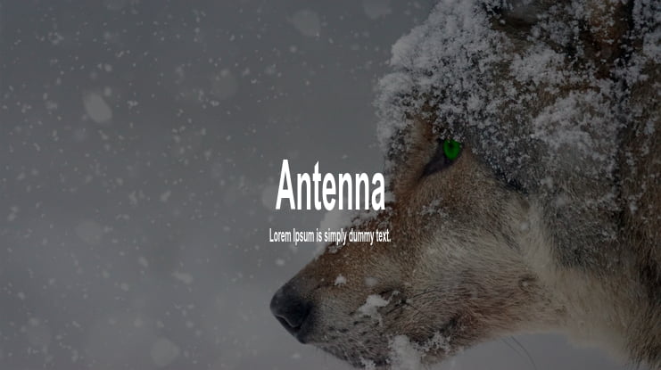 Antenna Font