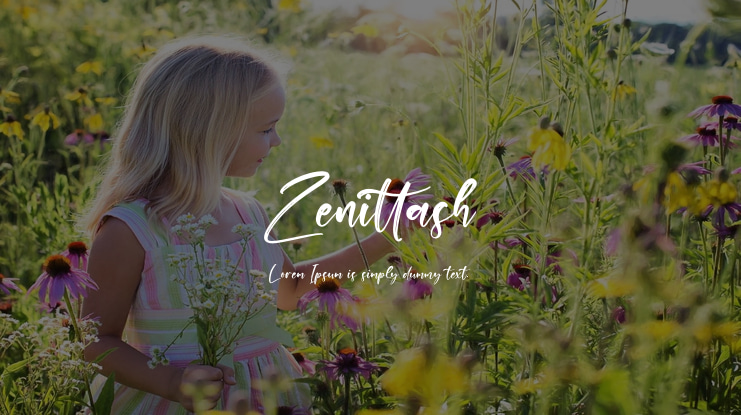 Zenittash Font