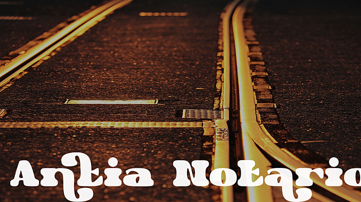 Antia Notario Font