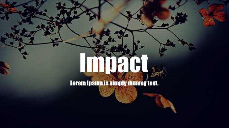Impact Font Family
