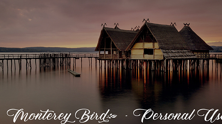 Monterey Bird - Personal Use Font