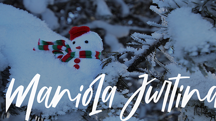 Maniola Jurtina Font