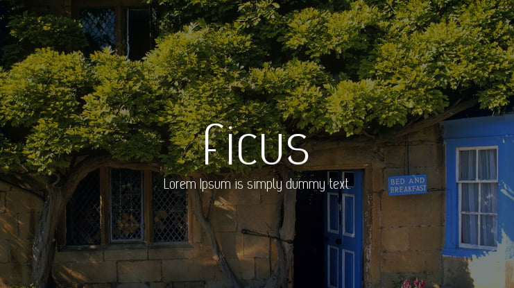 Ficus Font