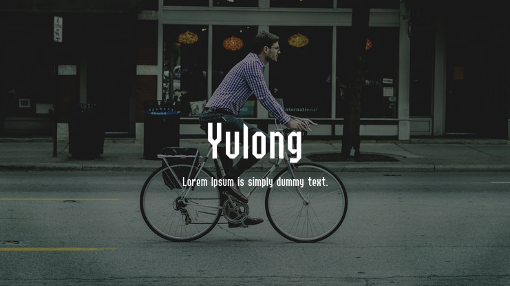 Yulong Font Family
