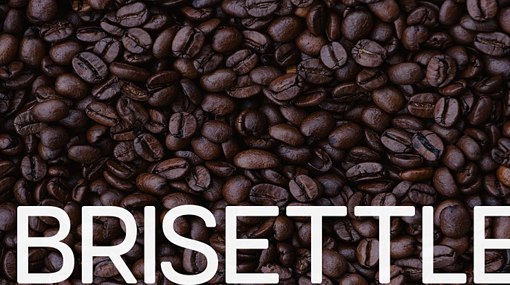 Brisettle Font