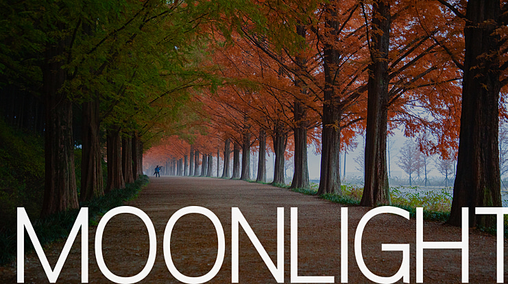 Moonlight Font