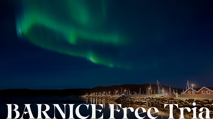 BARNICE Free Trial Font