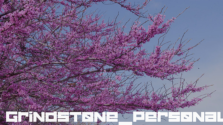Grindstone_PersonalUseOnly Font