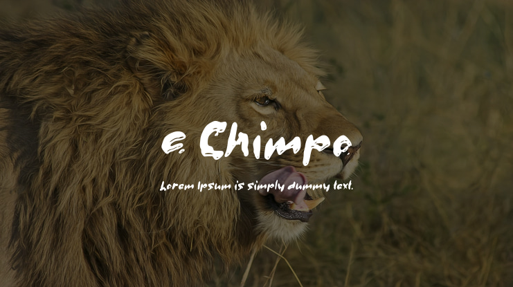 c Chimpo Font