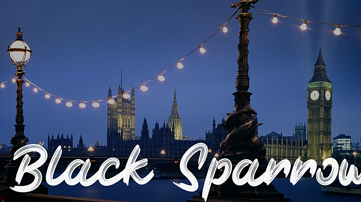 Black Sparrow Font