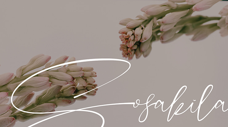 Sosakila Font