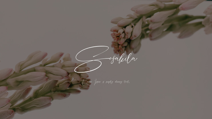 Sosakila Font