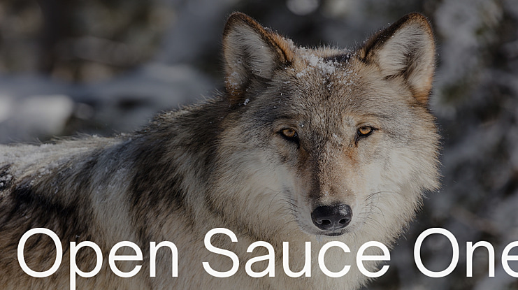 Open Sauce One Font Family