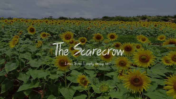 The Scarecrow Font