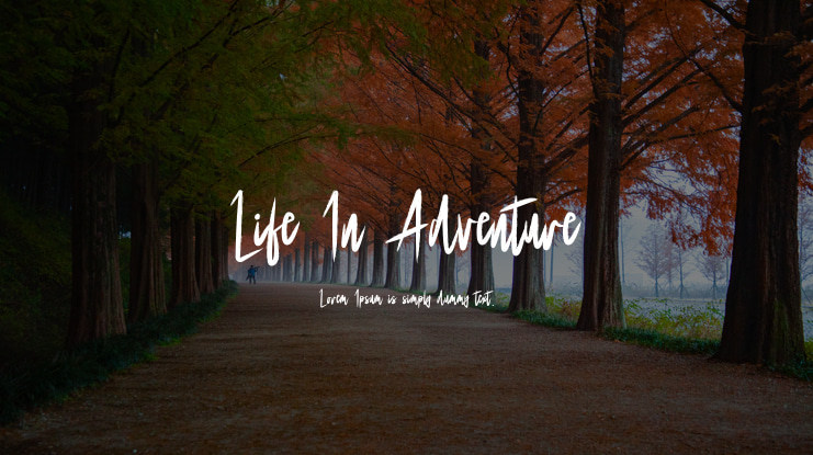 Life In Adventure Font
