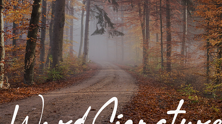 WordSignature Font
