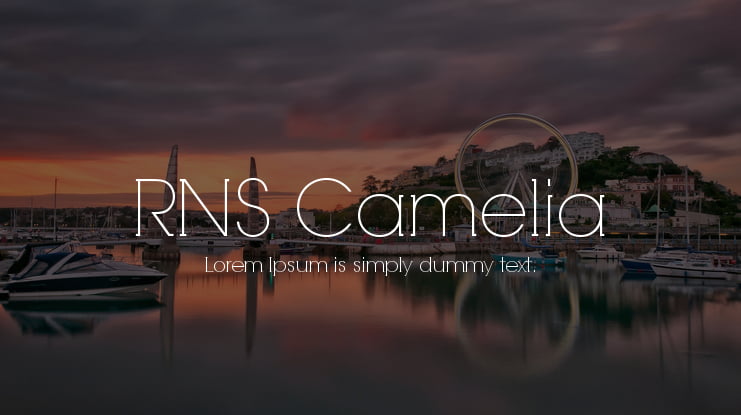 RNS Camelia Font