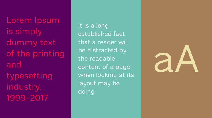 Dikta Neue Trial Font