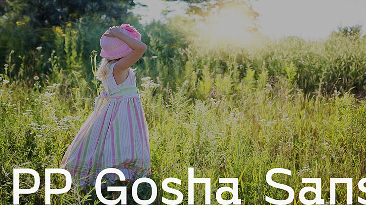 PP Gosha Sans Font Family