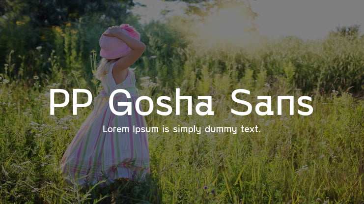 PP Gosha Sans Font Family
