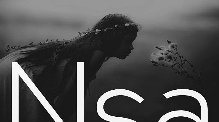 Nsai Font Family