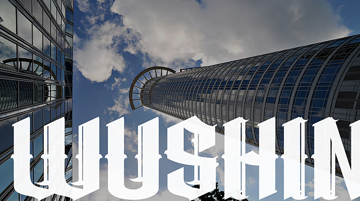 WUSHIN Font