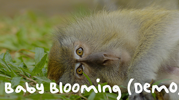 Baby Blooming (Dem0) Font