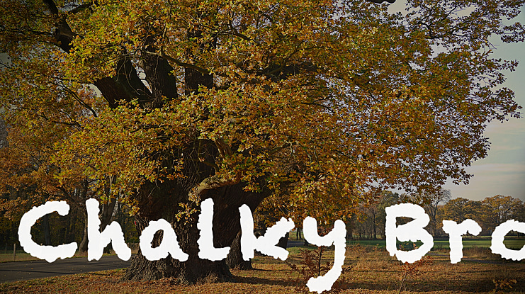 Chalky Bro Font