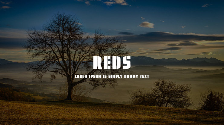 REDS Font