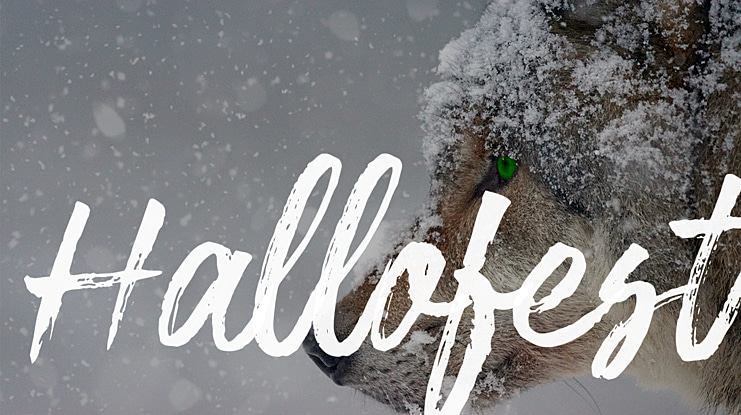 Hallofest Font
