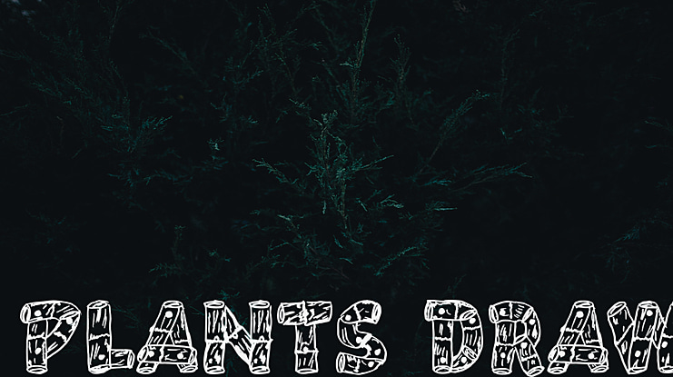 PLANTS DRAW Font