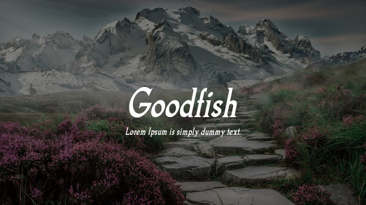 Goodfish Font Family