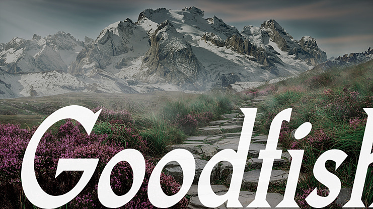 Goodfish Font Family