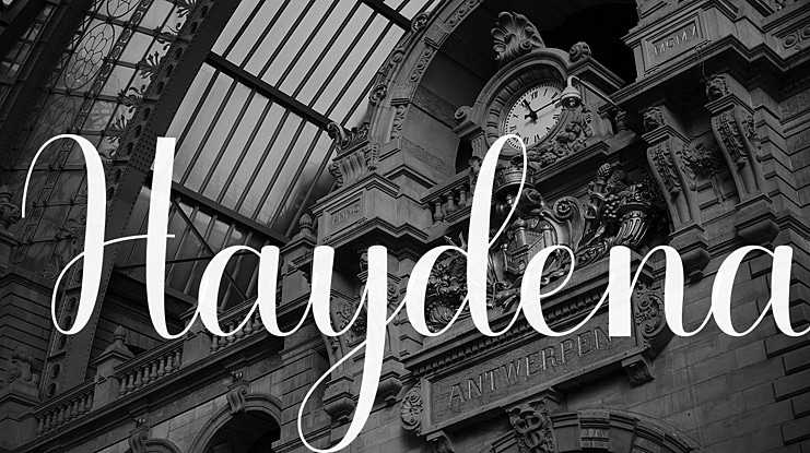 Haydena Font