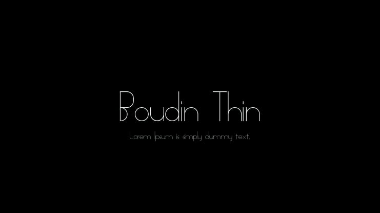 Boudin Thin Font Family