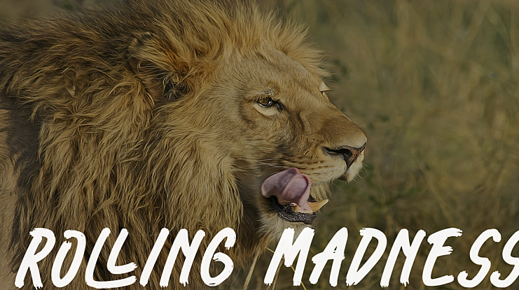 Rolling Madness Font