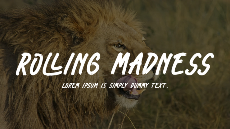 Rolling Madness Font
