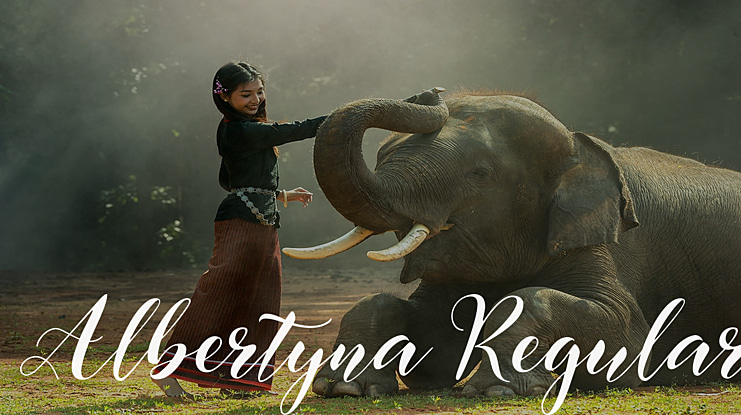 Albertyna Font Family