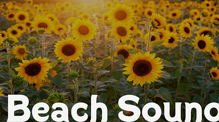 Beach Sound Font