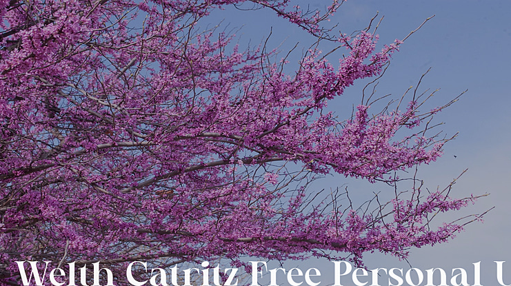 Welth Catritz Free Personal Use Font Family