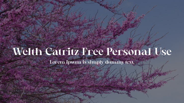 Welth Catritz Free Personal Use Font Family