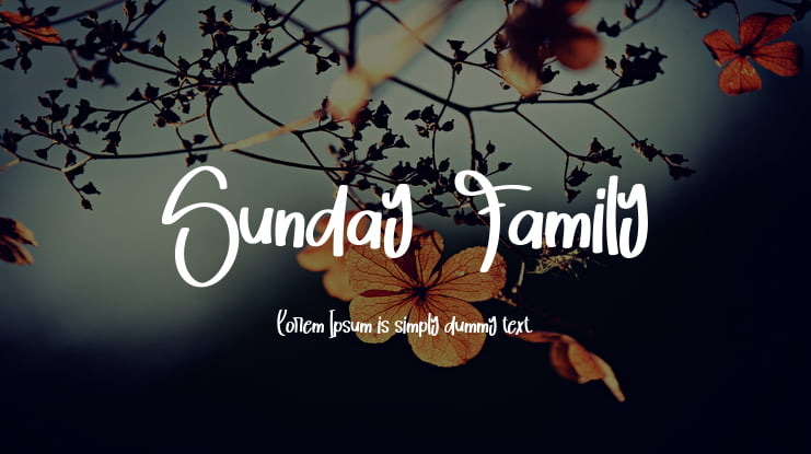 Sunday  Family Font
