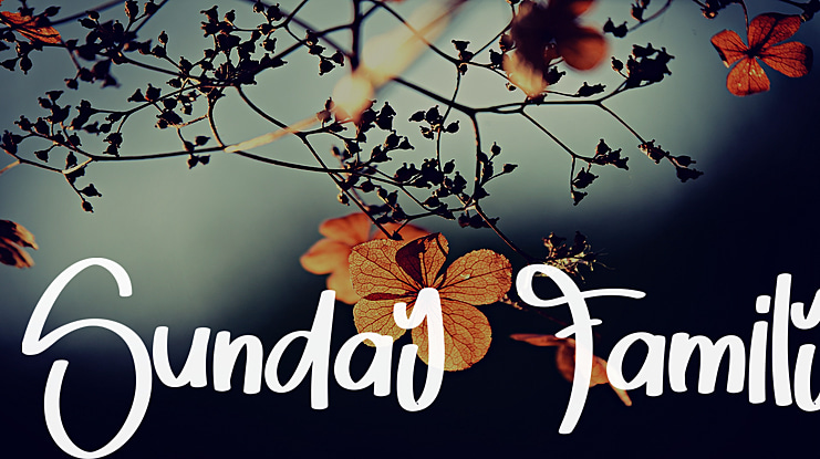 Sunday  Family Font
