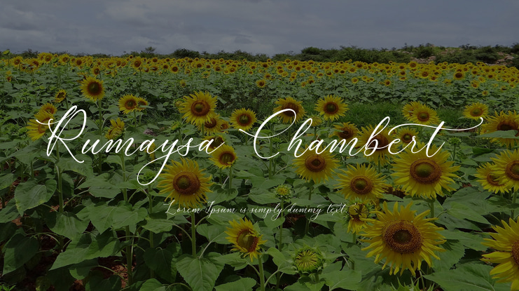 Rumaysa Chambert Font